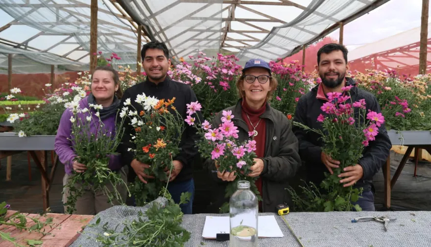 Eldorado: Prueban nuevas tecnologías en hidroponia y floricultura