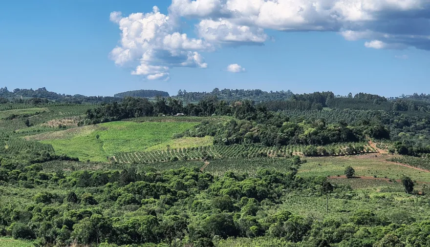 El INTA y 120 familias agricultoras impulsan la restauración de la Selva en San Pedro