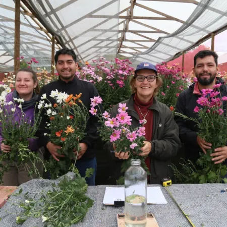 Eldorado: Prueban nuevas tecnologías en hidroponia y floricultura