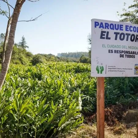 Montecarlo creó un registro para áreas naturales y habrá beneficios para privados