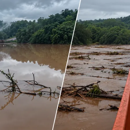Riesgo real de colapso en los puentes sobre los arroyos Parana-í y Piray Guazú