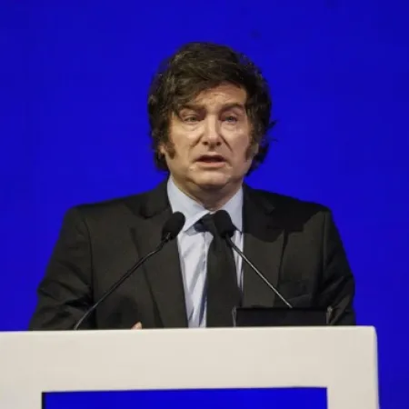 Milei habló de las elecciones de 2027 y del "nivel de estupidez" de los que critican el RIGI