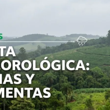 Alerta amarilla en Misiones: prevén tres días consecutivos de lluvias, tormentas y ráfagas de viento