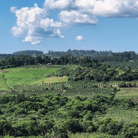 El INTA y 120 familias agricultoras impulsan la restauración de la Selva en San Pedro