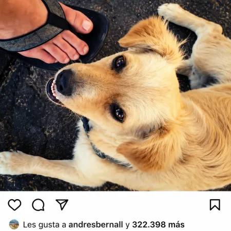 La doble cara del periodismo en Instagram