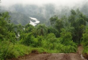 Imagen de Misiones. Gentileza: Mi tierra Roja